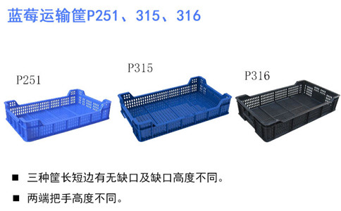 松原塑料筐,蓝莓筐周转箱P251,P315,P316-沈阳兴隆瑞